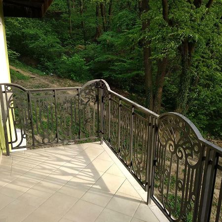 Apartament Ramona Apartment บราชอฟ ภายนอก รูปภาพ
