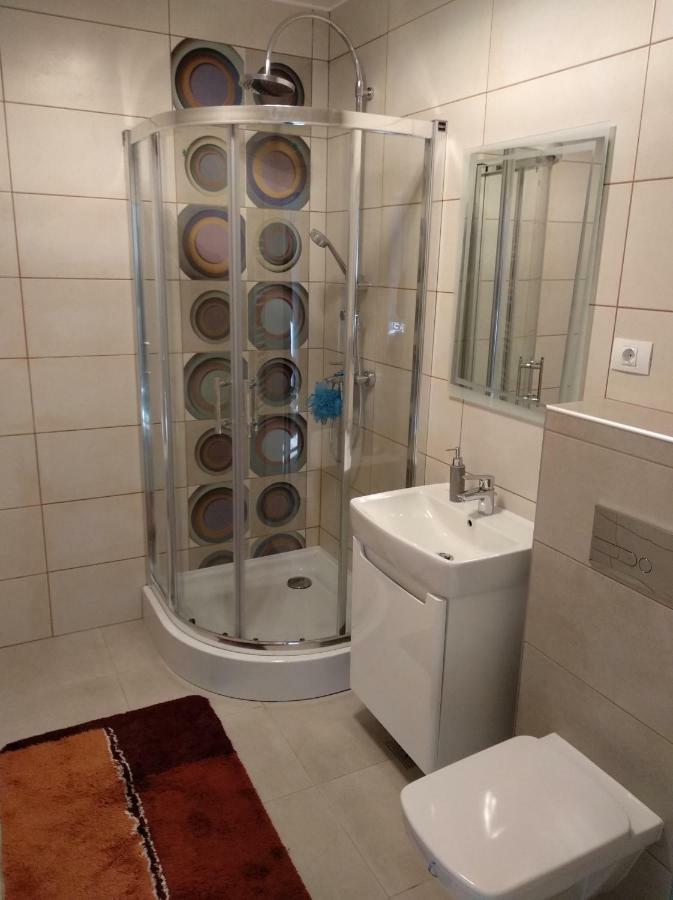 Apartament Ramona Apartment บราชอฟ ภายนอก รูปภาพ