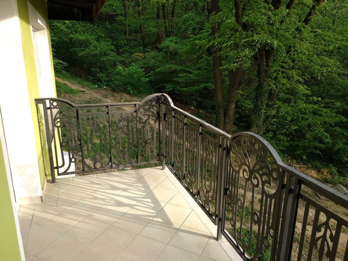 Apartament Ramona Apartment บราชอฟ ภายนอก รูปภาพ