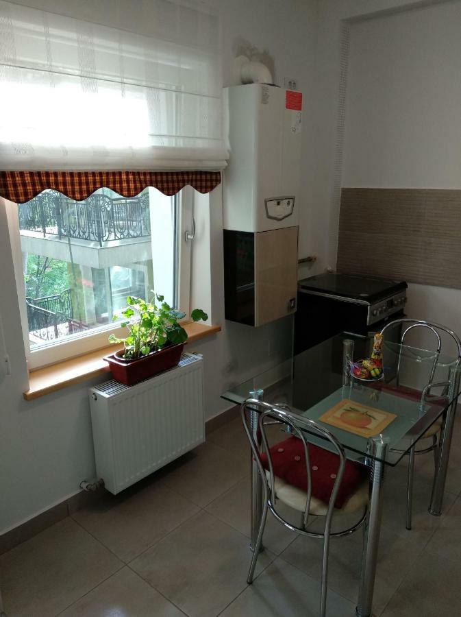 Apartament Ramona Apartment บราชอฟ ภายนอก รูปภาพ