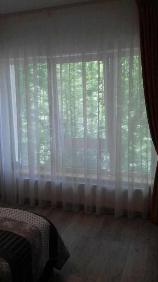 Apartament Ramona Apartment บราชอฟ ภายนอก รูปภาพ