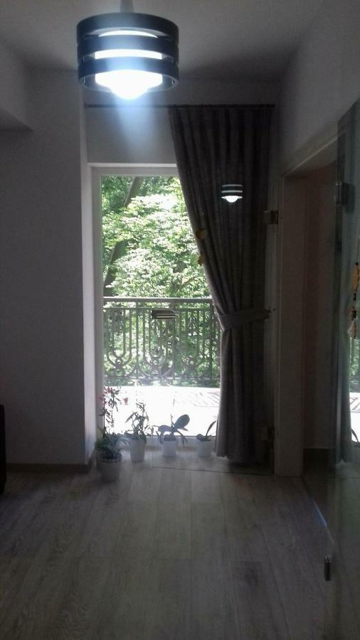 Apartament Ramona Apartment บราชอฟ ภายนอก รูปภาพ