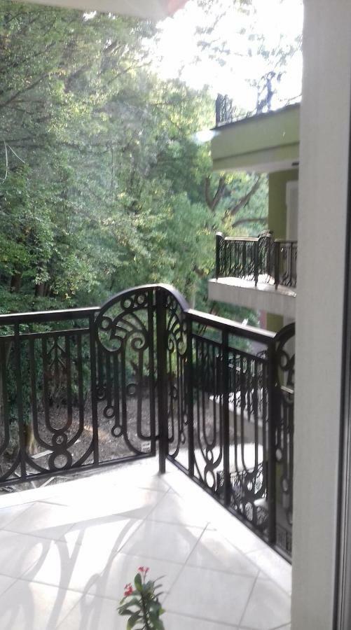 Apartament Ramona Apartment บราชอฟ ภายนอก รูปภาพ